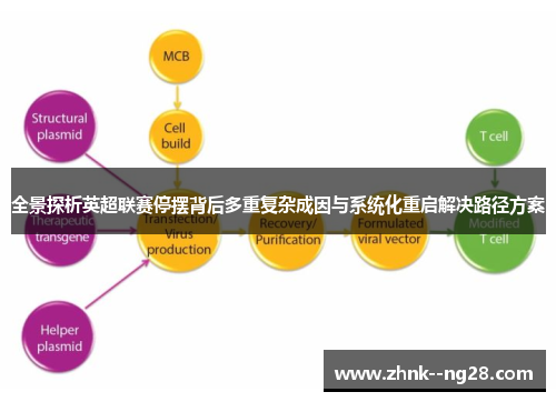 全景探析英超联赛停摆背后多重复杂成因与系统化重启解决路径方案 全景探析英超联赛停摆背后多重复杂成因与系统化重启解决路径方案
