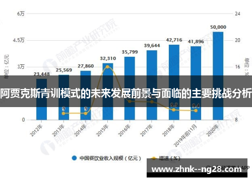 阿贾克斯青训模式的未来发展前景与面临的主要挑战分析